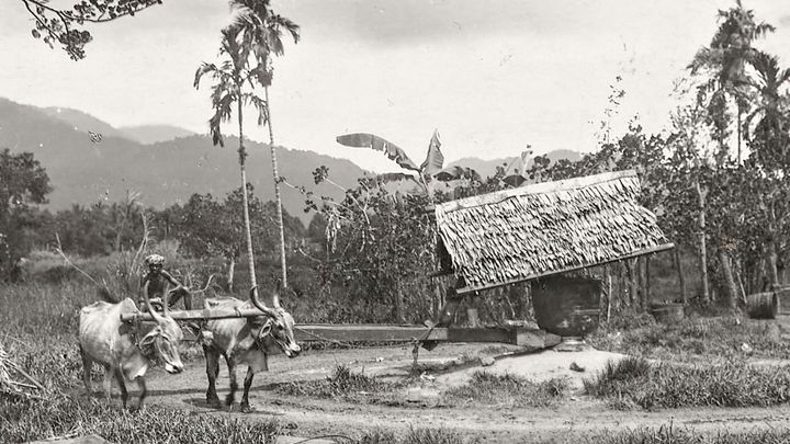 Modern food production representing industrial-scale oil processing